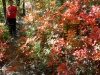 01-SAM_3456