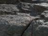 IMG-20210724-WA0009