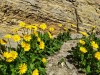 IMG_20200825_125714