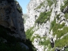 079-SAM_1294