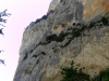 080-SAM_1295